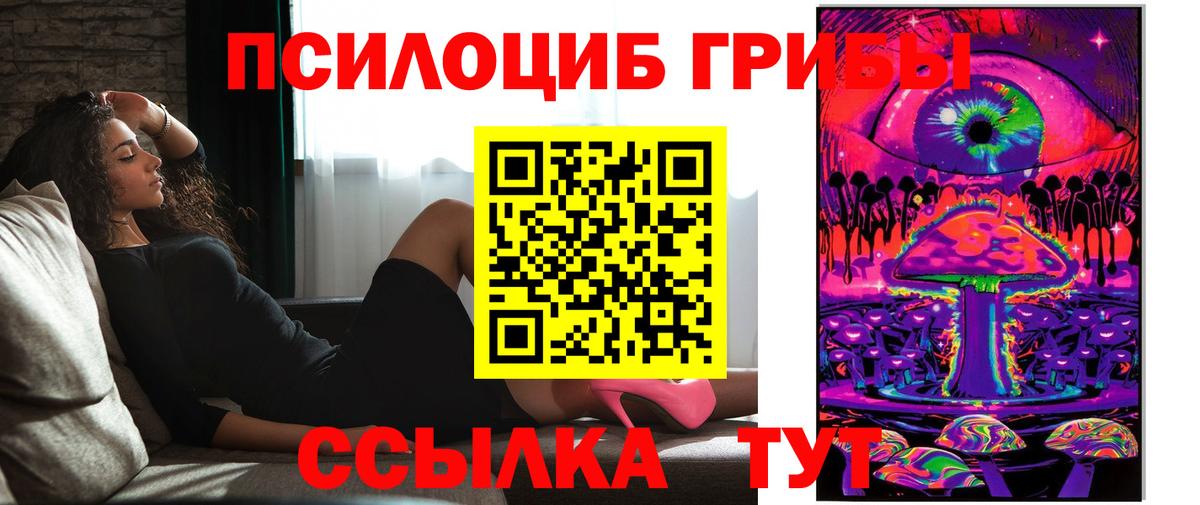Псилоцибиновые грибы мухоморы  Вход с VPN  где купить наркоту  Галлюциногенные грибы Magic Shrooms  Нурлат 
